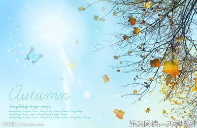 落叶蝴蝶的句子