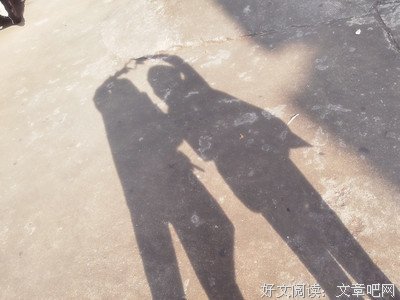 《知梦》的句子