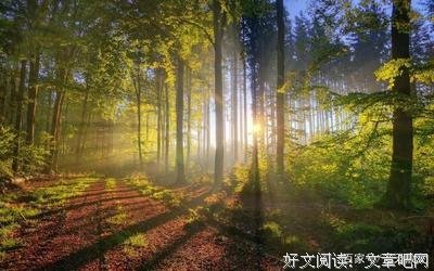 学为开人些旧时光好词好句