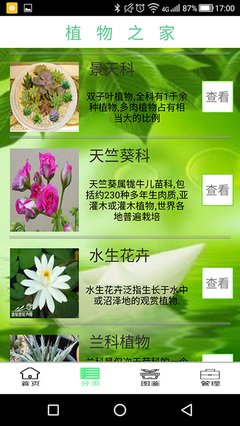 关于半亩花田的句子
