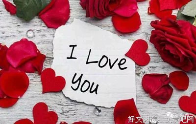 《裸婚》读后感摘抄