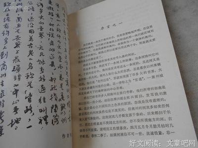 废都读后感锦集