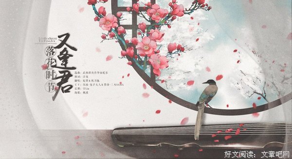 《落花时节又逢君》读后感100字
