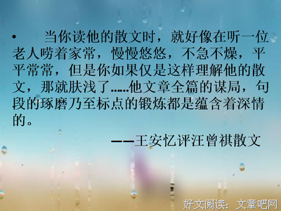汪安忆的名言