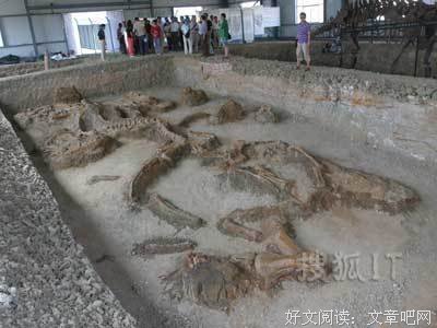 转生真龙（上下卷）读后感1000字