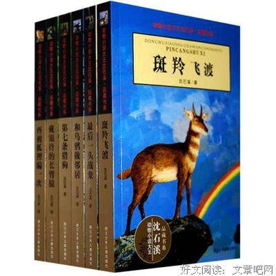 《坟场之书》读后感100字