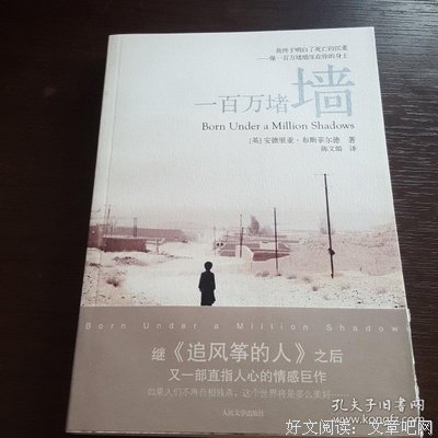 一百万堵墙经典读后感有感
