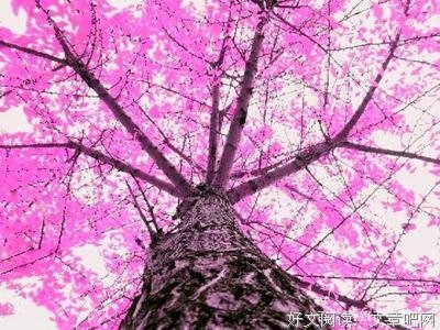 神思陌路读后感100字