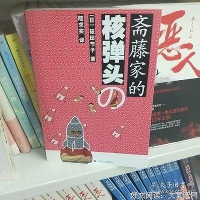 斋藤家的核弹头经典读后感有感