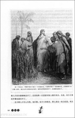 《耶稣传》读后感锦集