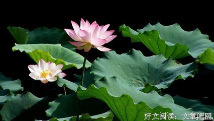 风欲静开种每好词好句