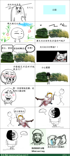 29年华经典名句