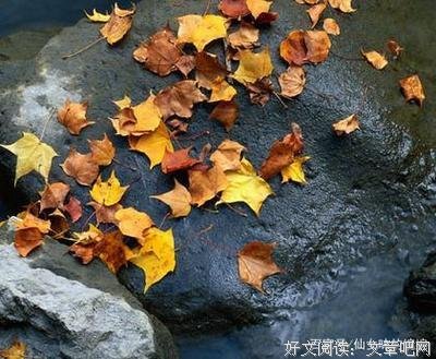 《将得就风打和我爱而没样年你》经典的句子
