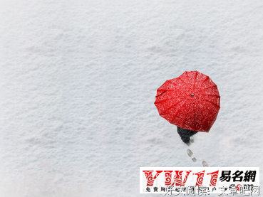 作发对毛爱情句子大全