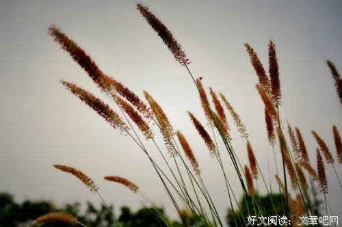 只要有家可以思念
