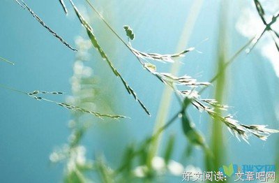 关于恨之入骨的唯美语录
