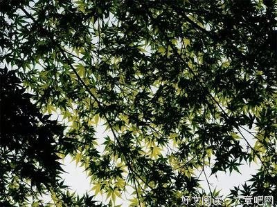 世界上最便宜的长寿药，就一个字！