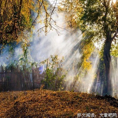 今日白露:人生如白露，愿君多珍重