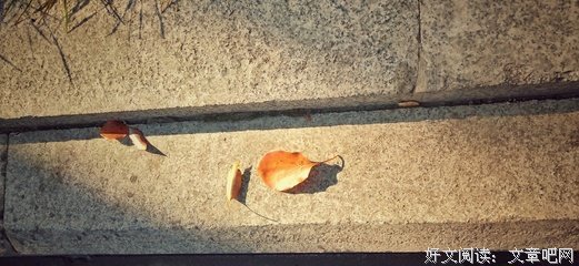 渡人自渡的句子