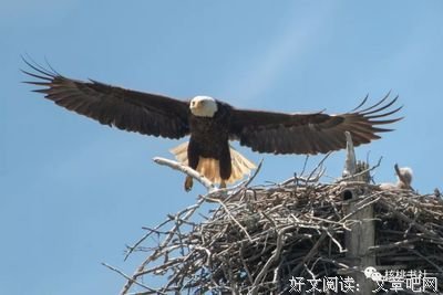 管理的常识读后感1000字