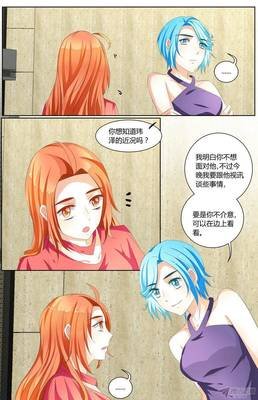 《浣熊帮帮忙》读后感1000字
