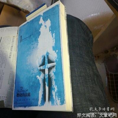 燃烧的法庭读后感100字