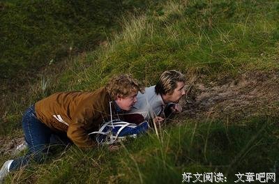 《三傻西行记》影评100字
