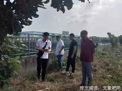 《奋战到底》经典影评集