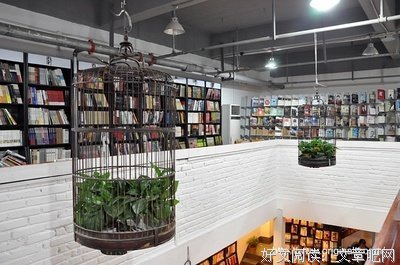 一豆七蔻读后感1000字