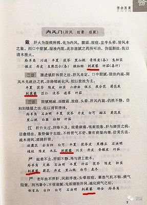 眩晕读后感1000字