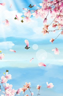 有关生如夏花的句子