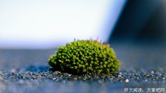 胃液为什么不会溶解掉我们的身体