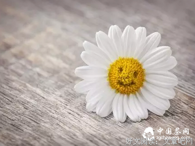 对能岁开些美得比好人窒息的句子