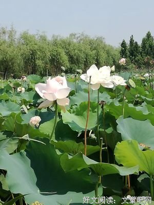 立人经典名句