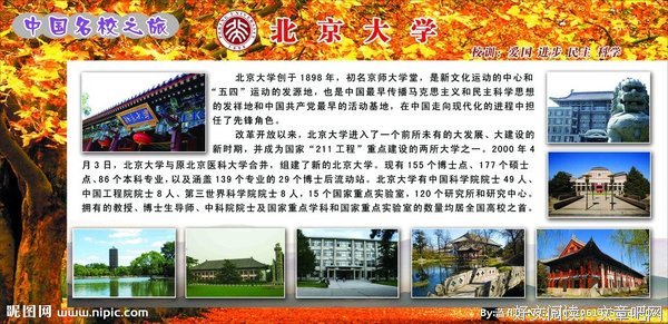 名校辍学，全脸动刀，“日本第一”牛郎罗兰孤注一掷的赌注