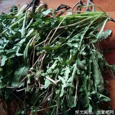 最强"天然青霉素"每天一杯，抵抗力强10倍！胜过枸杞无