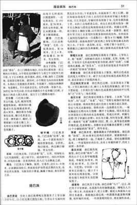 修文物的男人经典读后感有感