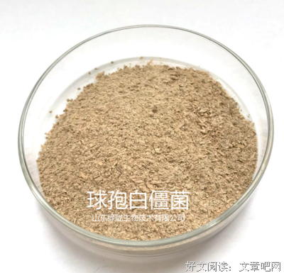 《《我的微生物朋友：真菌地球》》读后感1000字