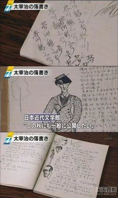 《历史是个什么玩意儿2》读后感100字
