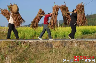 《家族》的读后感大全