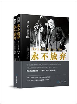 丘吉尔传读后感100字
