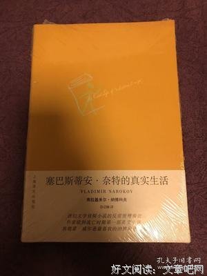 《塞巴斯蒂安·奈特的真实生活》读后感精选