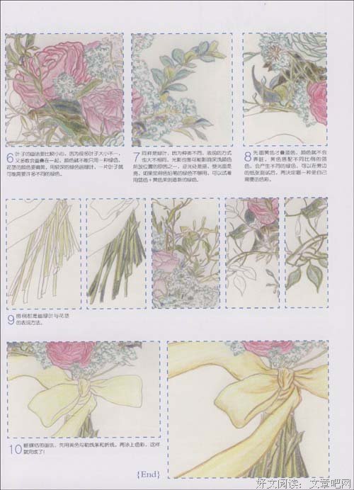 《水仙花 narcissu》读后感摘抄