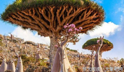 《独自存在》影评精选