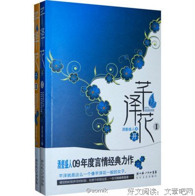 《芊泽花开（全二册）》经典读后感有感