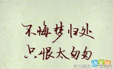 我的青春可曾荒废的优美句子