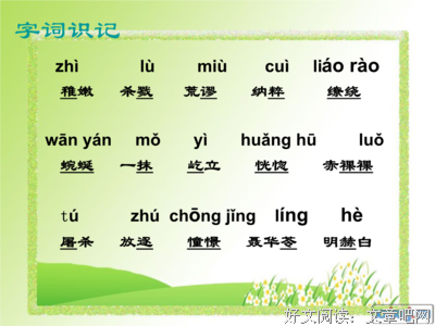 关于情理的句子