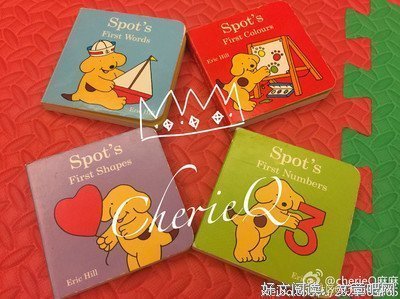 《我们骑鲸而去》经典读后感有感