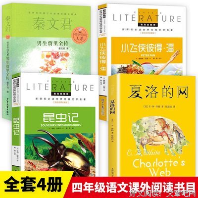 我爱读经典：彼得·潘读后感100字