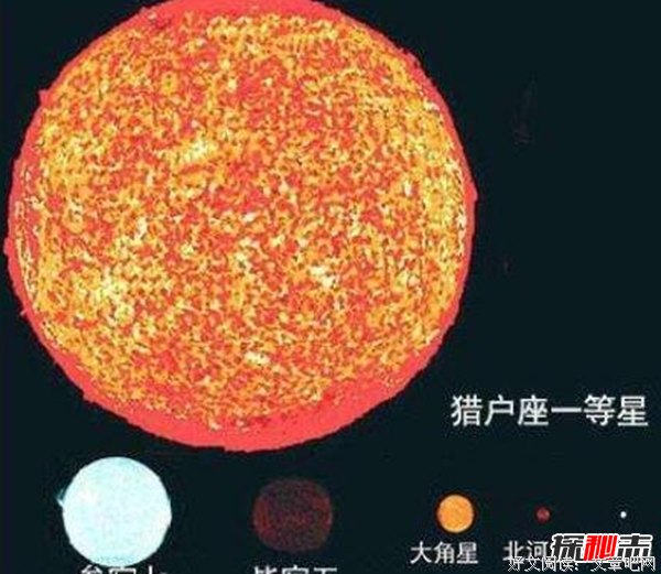 《红色星球》读后感摘抄